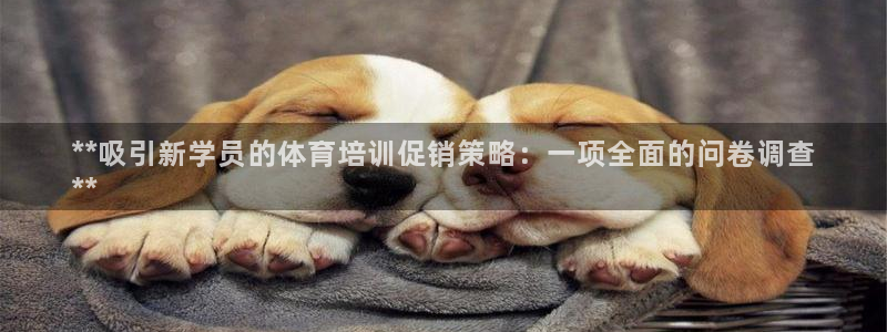 耀世集团四个字的图片