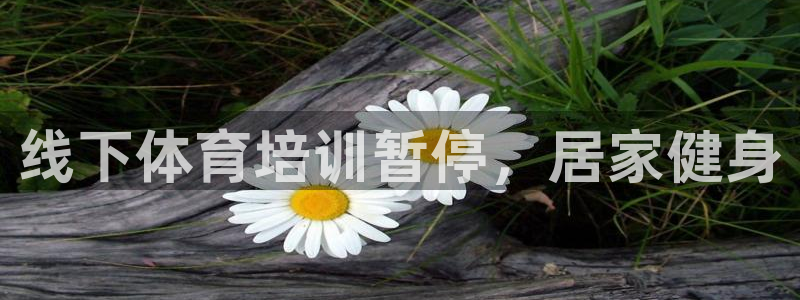 耀世平台推 411o31 耀世：线下体育培训暂停，居