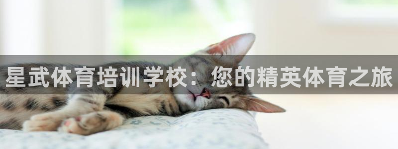 耀世娱乐返点多少钱：星武体育培训学校：您的精英体育之