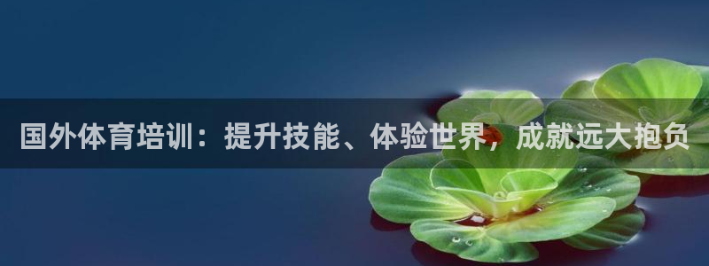 耀世娱乐如何登录平台账户：国外体育培训：提升技能、体