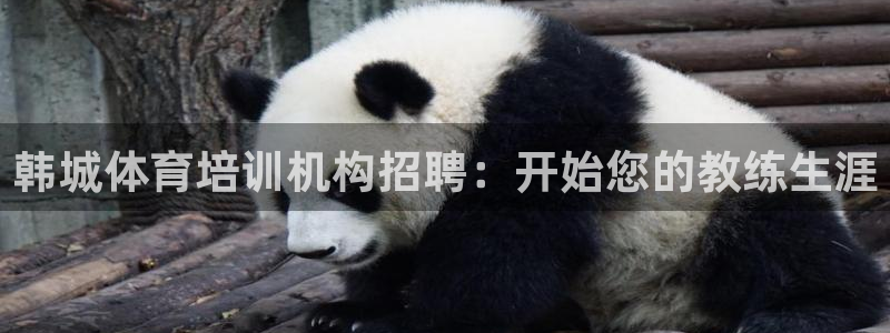 耀世平台代理多少钱一个：韩城体育培训机构招聘：开始您