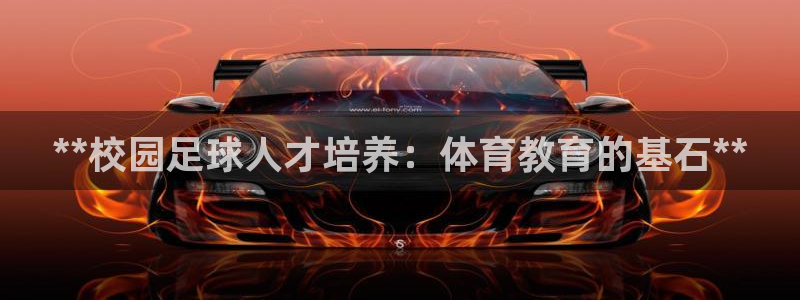 耀世燃气灶是哪个牌子：**校园足球人才培养：体育教育