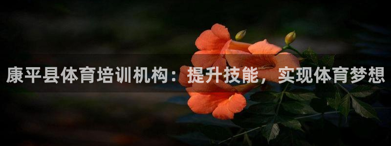 耀世平台app下载安装：康平县体育培训机构：提升技能