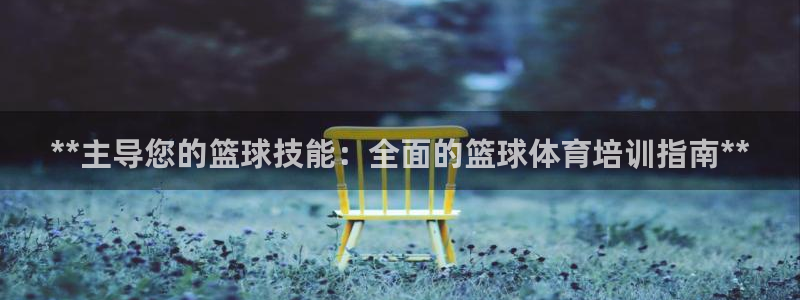 耀世而生：**主导您的篮球技能：全面的篮球体育培训指
