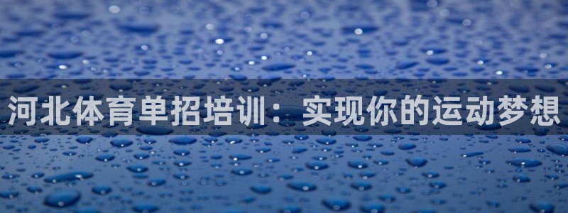 耀世是什么车：河北体育单招培训：实现你的运动梦想