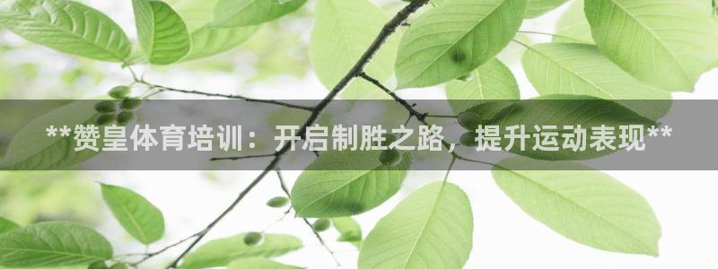 耀世广告：**赞皇体育培训：开启制胜之路，提升运动表
