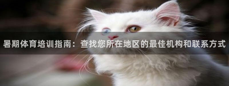 耀世娱乐平台官网登录入口手机版：暑期体育培训指南：查