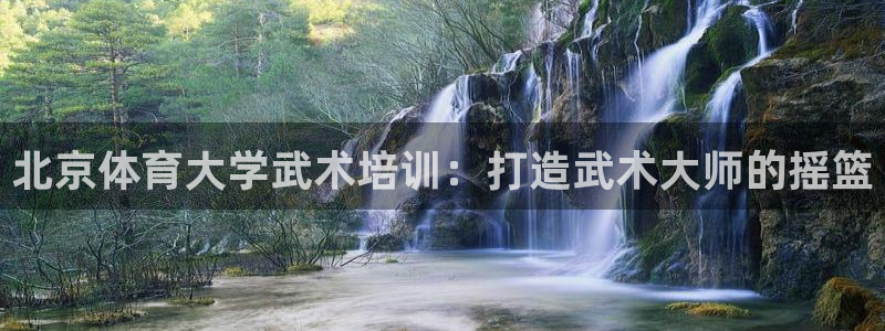 耀世集团王大聪：北京体育大学武术培训：打造武术大师的