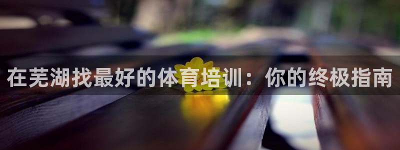 耀世国际集团：在芜湖找最好的体育培训：你的终极指南