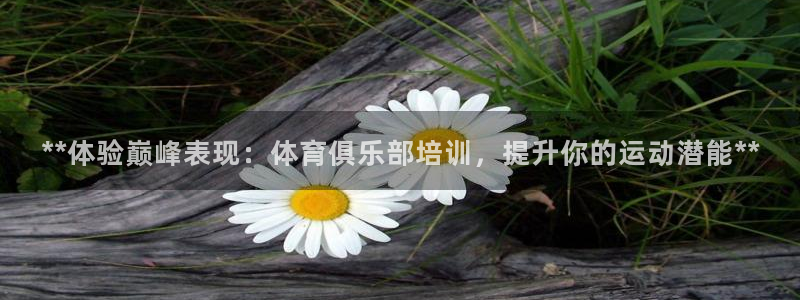 耀世娱乐家 411O31 耀世：**体验巅峰表现：体