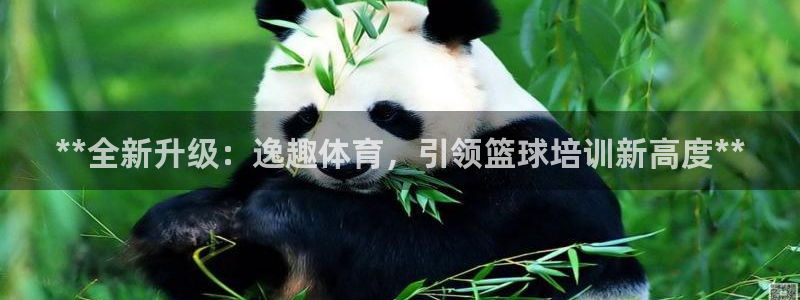 耀世国际平台正规吗安全吗可靠吗：**全新升级：逸趣体