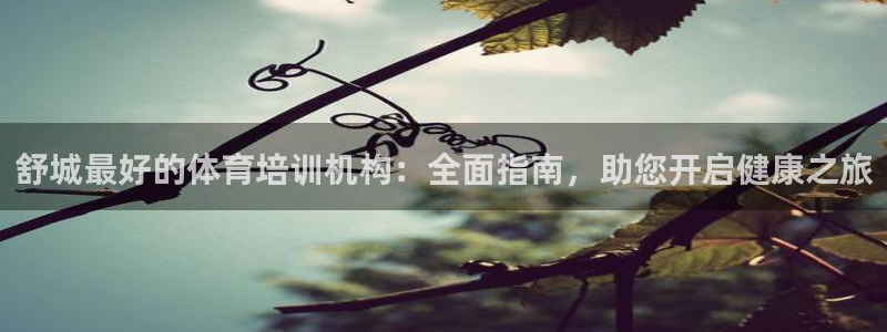 耀世平台客服24小时在线咨询：舒城最好的体育培训机构