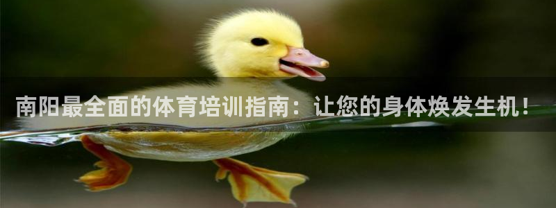 耀世娱乐怎么注册：南阳最全面的体育培训指南：让您的身