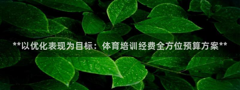耀世娱乐好不好做：**以优化表现为目标：体育培训经费