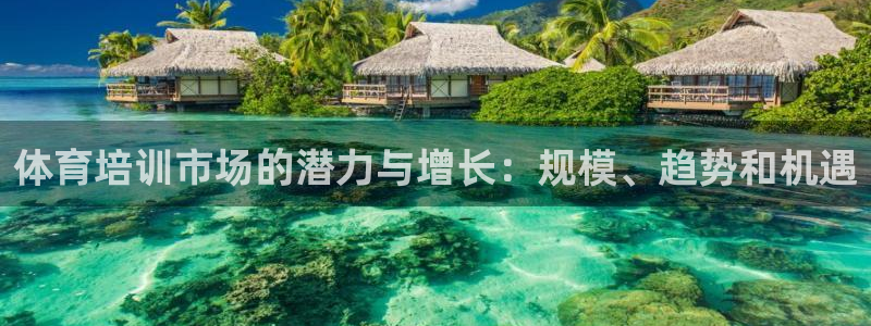 耀世娱乐脚本不死挂机能玩吗：体育培训市场的潜力与增长