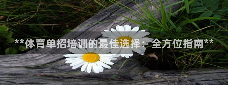 耀世平台主管代理怎么做：**体育单招培训的最佳选择：