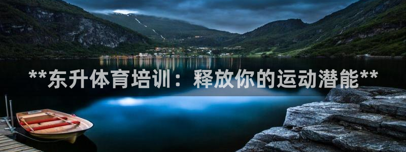 耀世燃气灶是哪个牌子：**东升体育培训：释放你的运动