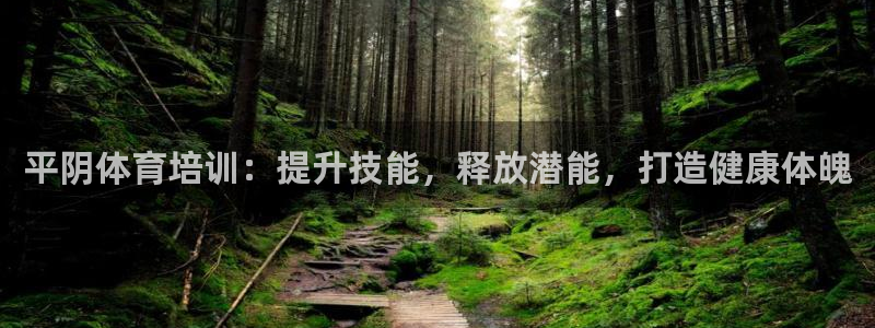 耀世意思：平阴体育培训：提升技能，释放潜能，打造健康
