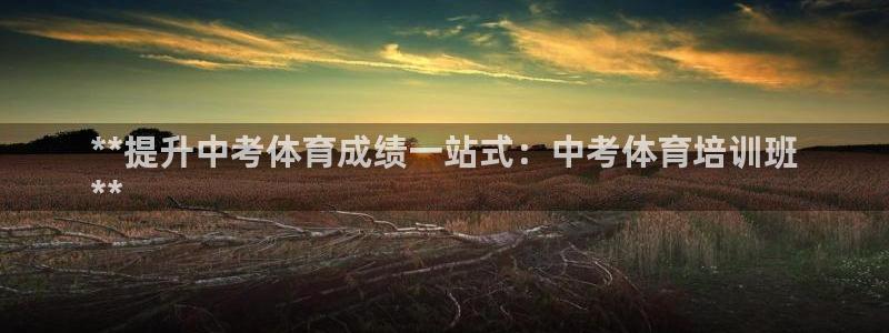耀世娱乐挂机教程下载：**提升中考体育成绩一站式：中