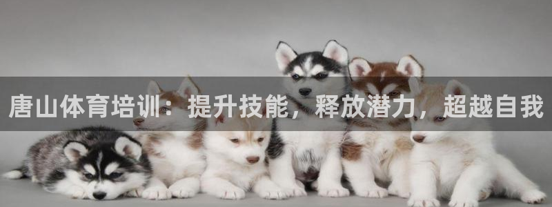 耀世平台产7O777：唐山体育培训：提升技能，释放潜
