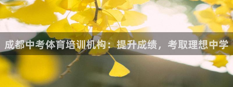 耀世而生什么意思：成都中考体育培训机构：提升成绩，考