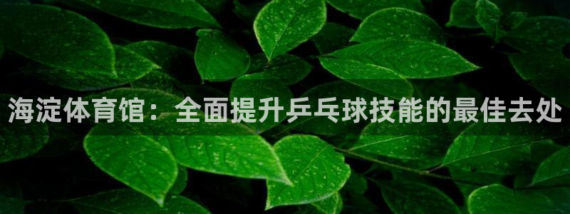 耀世娱乐能不能提现：海淀体育馆：全面提升乒乓球技能的