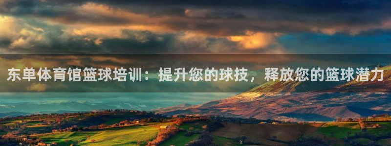 耀世集团视频直播在哪看：东单体育馆篮球培训：提升您的