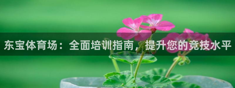 耀世娱乐能不能提现到支付宝：东宝体育场：全面培训指南