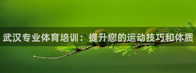 耀世集团董事长简介：武汉专业体育培训：提升您的运动技