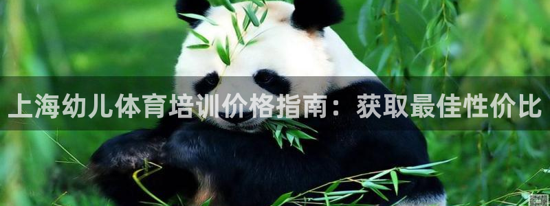 耀世娱乐挂机教程：上海幼儿体育培训价格指南：获取最佳