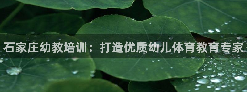 耀世娱乐是正规还是仿真：石家庄幼教培训：打造优质幼儿