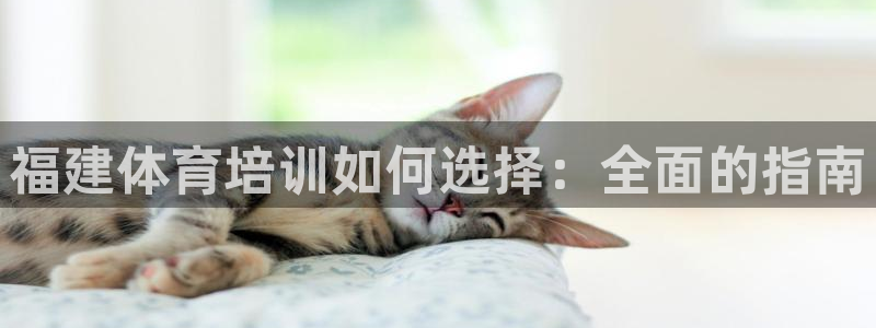 耀世平台网站