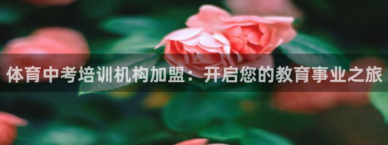 耀世娱乐辅助软件下载安装：体育中考培训机构加盟：开启
