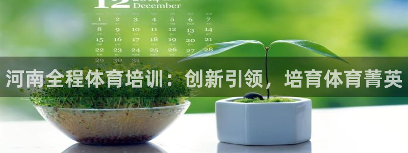 耀世是什么游戏里的人物：河南全程体育培训：创新引领，培育体育