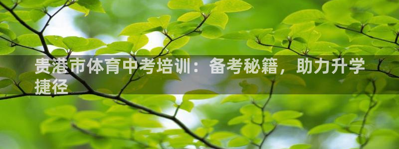 耀世集团小视频