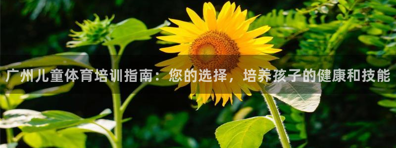 耀世娱乐优 411o31 耀世：广州儿童体育培训指南