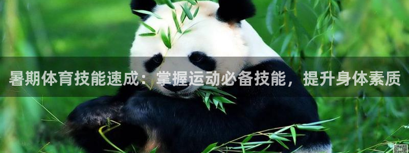 耀世娱乐平台官网入口：暑期体育技能速成：掌握运动必备