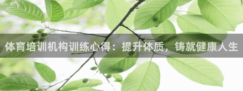耀世娱乐是个什么平台啊：体育培训机构训练心得：提升体