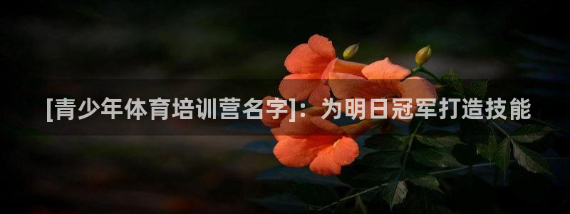 耀世盛典手游下载安装： [青少年体育培训营名字]：为