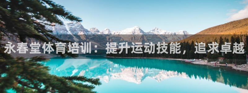 耀世微光mp3下载：永春堂体育培训：提升运动技能，追