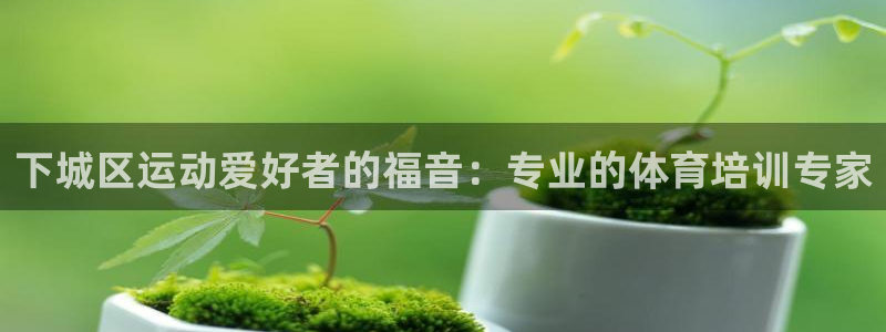 耀世圣主：下城区运动爱好者的福音：专业的体育培训专家