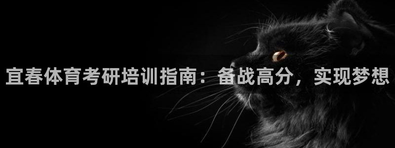 耀世影视：宜春体育考研培训指南：备战高分，实现梦想