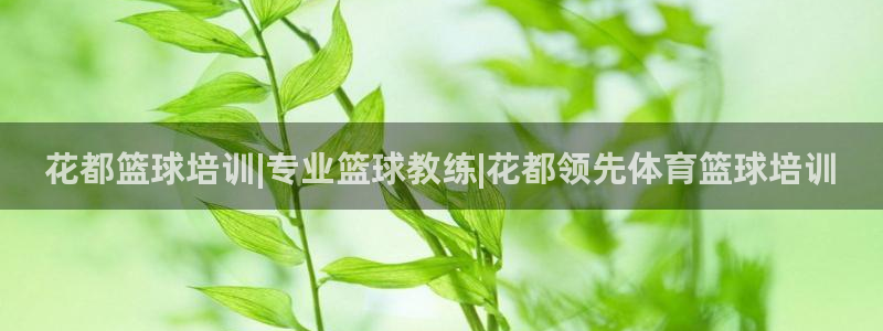 耀世娱乐老板是哪里人：花都篮球培训|专业篮球教练|花