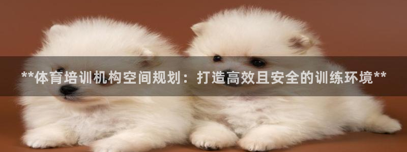 耀世和耀至的区别：**体育培训机构空间规划：打造高效