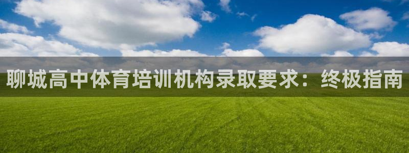 耀世是什么车：聊城高中体育培训机构录取要求：终极指南