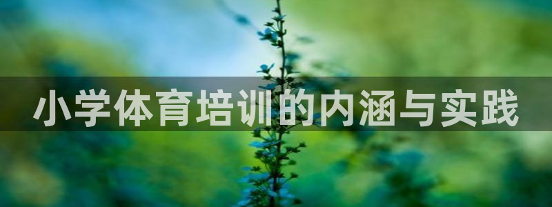 耀世娱乐如何登录平台账户：小学体育培训的内涵与实践