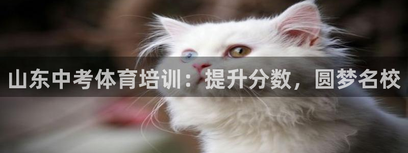 耀世国际平台正规吗可信吗知乎：山东中考体育培训：提升