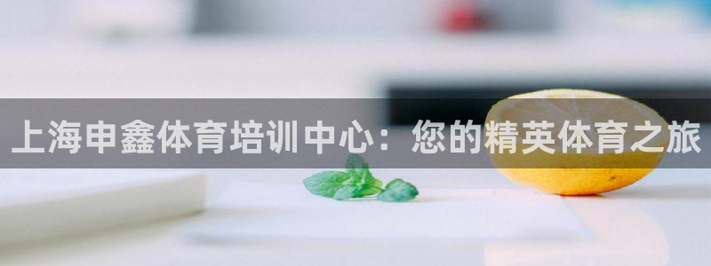 耀世平台皮皮虾：上海申鑫体育培训中心：您的精英体育之