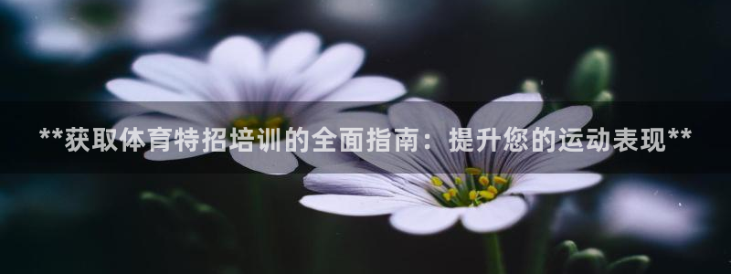 耀世平台皮皮虾：**获取体育特招培训的全面指南：提升