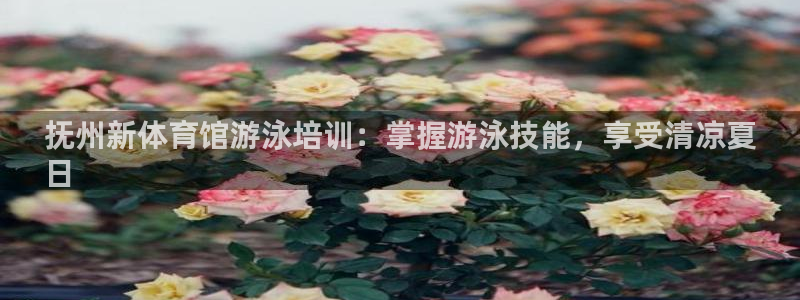 耀世是什么车：抚州新体育馆游泳培训：掌握游泳技能，享